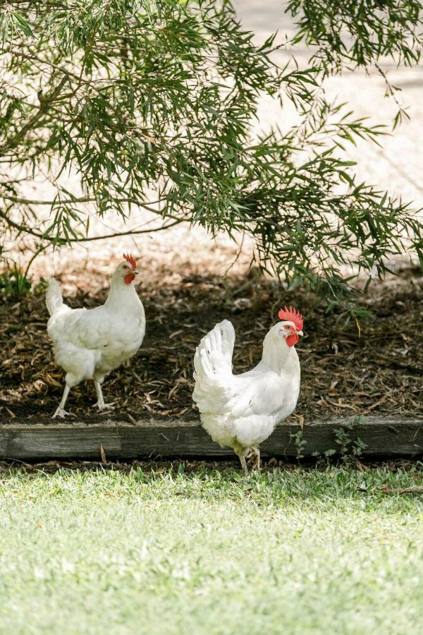 Balmoral Barn Βίλα Noosaville Εξωτερικό φωτογραφία